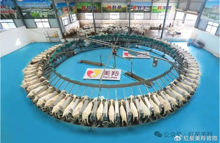 1713315491110109.png image.png