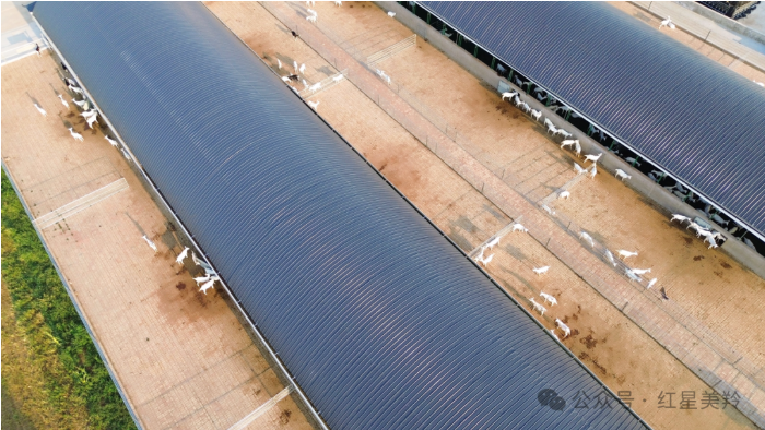 1713432344522577.png image.png