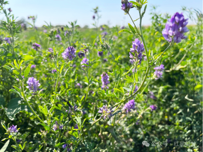 1713432403113517.png image.png