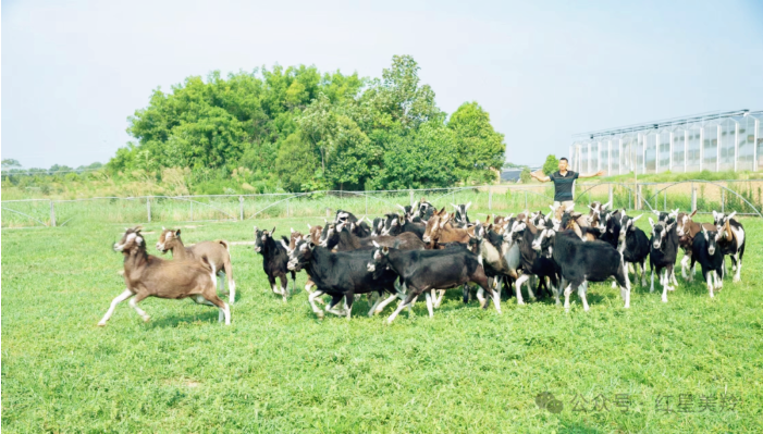 1713432449682397.png image.png