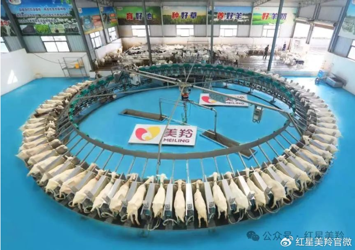 1713432463116073.png image.png