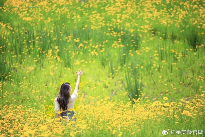 1713488070204487.png image.png