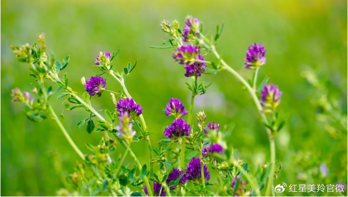 1718932226238396.png image.png