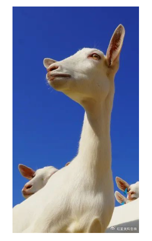 1718932262622239.png image.png