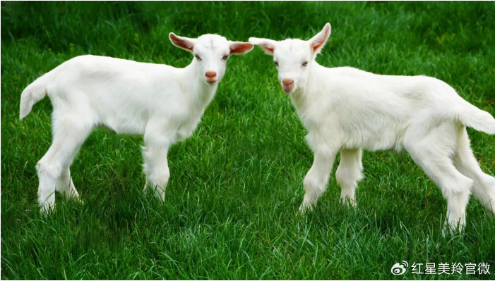 1718932288115196.png image.png