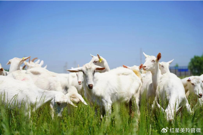 1723705177677535.png image.png